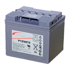P12V875
